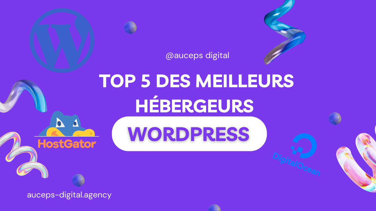 Auceps Digital Agency hébergement web :- Top 5 des meilleurs hébergeurs WordPress en 2025