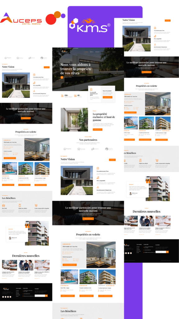 Agence marketing digital en Afrique | Auceps Digital Agency – Experts en solutions web innovantes (e-commerce & vitrine).